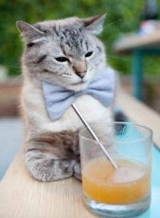 爱游戏中国官方登录入口网站-_鹈鹕队奋勇冲刺，季后赛希望依旧_，鹈鹕队赛程表